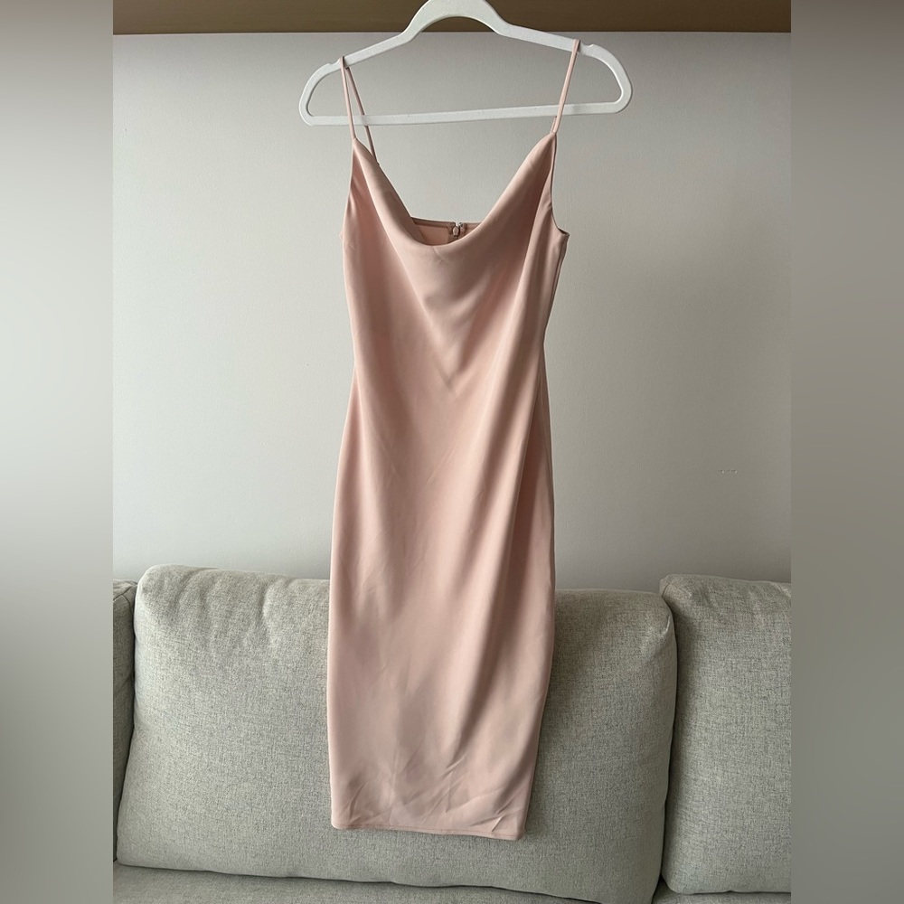 Aritzia Babaton Dress